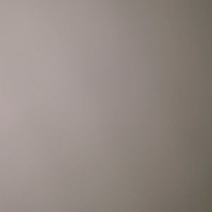 Meet your Posher, Jazmin