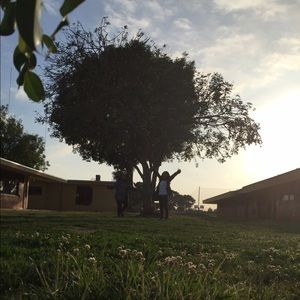 Meet your Posher, Cecilia