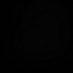 Meet your Posher, Ray