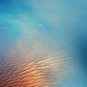 Meet your Posher, Ava