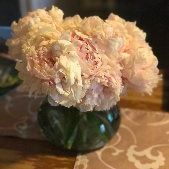 Meet your Posher, Jill - Picture 2 of 7