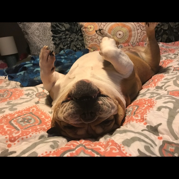 Meet your Posher, Jill - Picture 5 of 7