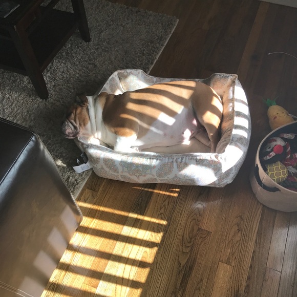 Meet your Posher, Jill - Picture 7 of 7