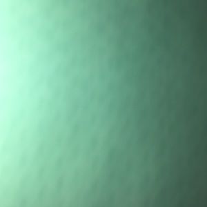 Meet your Posher, Nyla