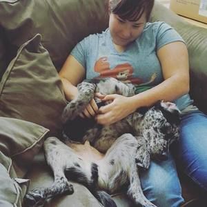 Meet your Posher, Taylor