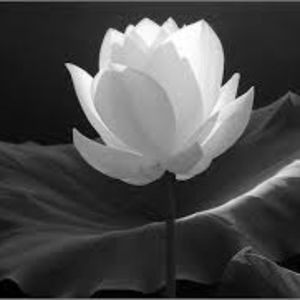 Meet your Posher, Anabelle