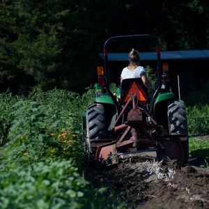 Meet your Posher, Kate