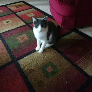 Meet your Posher, Elyse