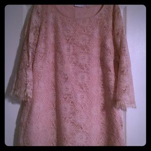 Beautiful & Versatile Lace Shift Dress by NY & Co