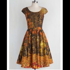 🍂🍁Rare Fall Folter Retrolicious Dress🍁🍂