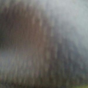 Meet your Posher, Leona