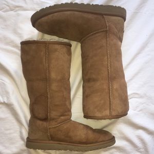 TALL CHESTNUT UGGS