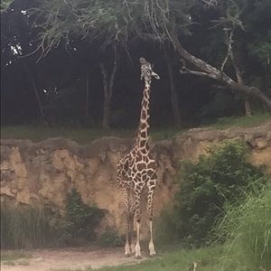 Meet your Posher, Khristine