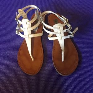 Steve Madden gladiator sandals