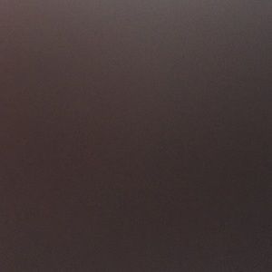 Meet your Posher, Camryn