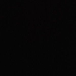 Meet your Posher, Reese