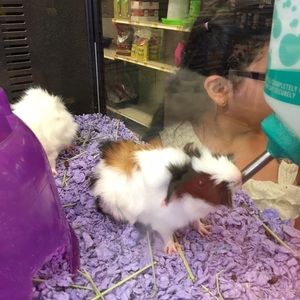 Meet your Posher, Griselle