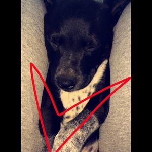 Meet your Posher, Kat