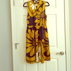 Anthropologie Shirt dress