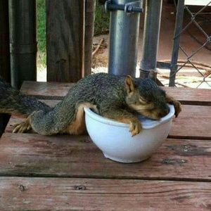 Meet your Posher, Kay