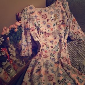 Lauren Conrad Slit Sleeve Dress.