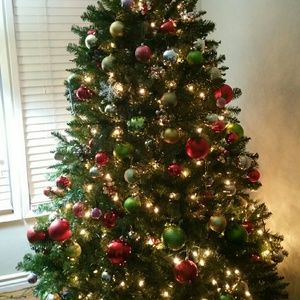 Meet your Posher, Pauline