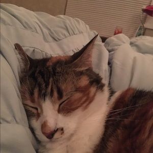 Meet your Posher, Macy