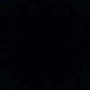 Meet your Posher, Celine