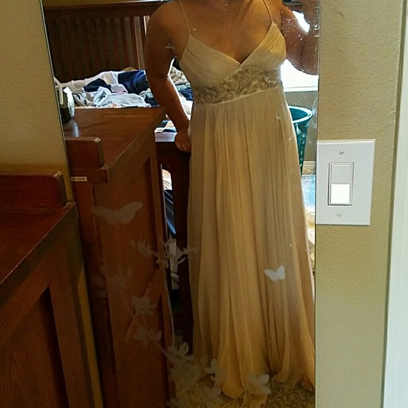 NWOT BCBG MAXAZRIA nude gown - Picture 4 of 4