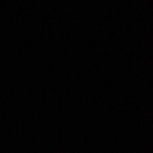 Meet your Posher, Jayla