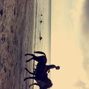 Meet your Posher, Madeline