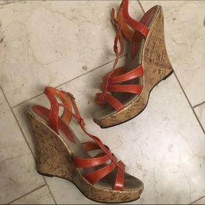 Classified orange 5" wedges