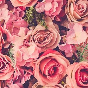 Meet your Posher, Jayla