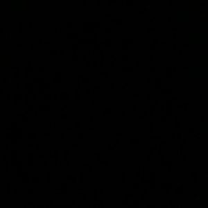 Meet your Posher, Craig