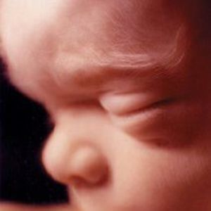 Meet your Posher, Leanne