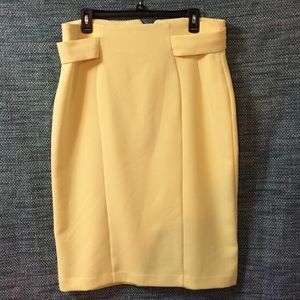Eva Mendes pencil skirt. Brand new without tags