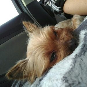 Meet your Posher, Nicole