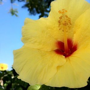 Meet your Posher, Remy