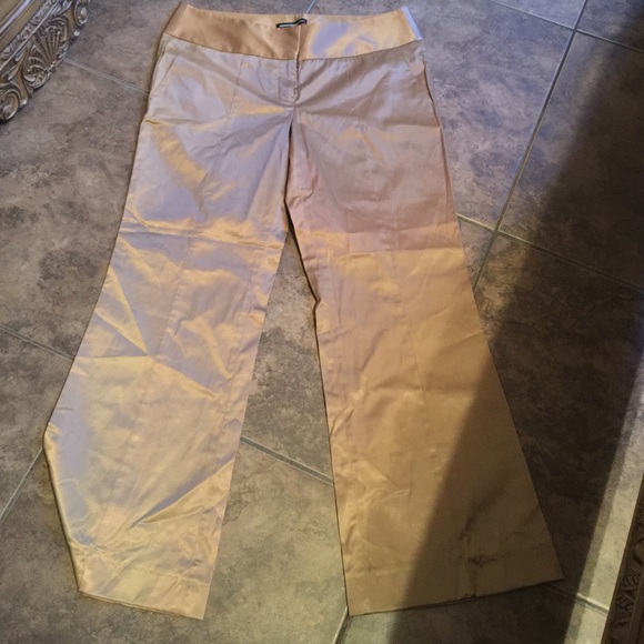 Express sill wide leg pants