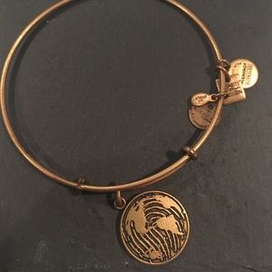 Alex and Ani your mark charm bracelet