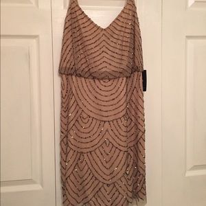Adrianna Papell Dress Brand New with tags
