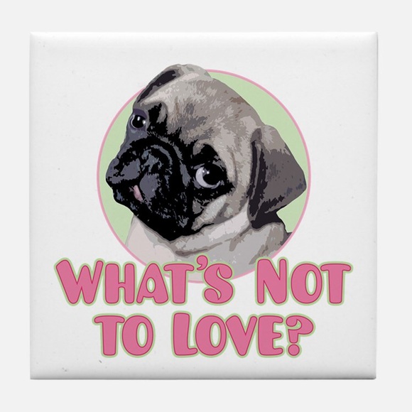 Forever 21 Other - F21 Pug Shirt