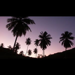 Meet your Posher, Alaina