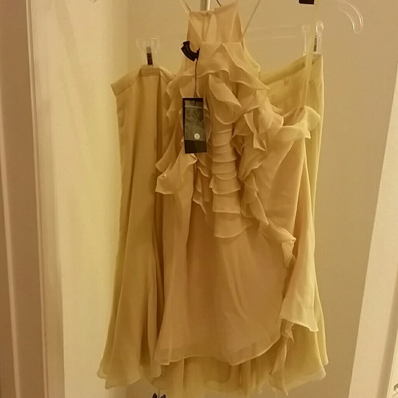 BCBG Chiffon sleeveless chiffon top and skirt NWT