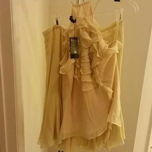 BCBG Chiffon sleeveless chiffon top and skirt NWT