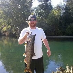 Meet your Posher, James