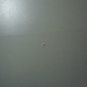 Meet your Posher, Rayshaun