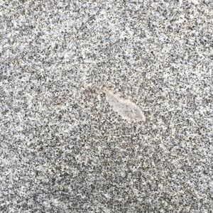 Meet your Posher, Em