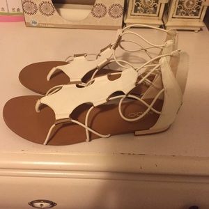 Aldo mini gladiators!