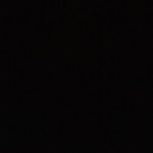 Meet your Posher, Dee